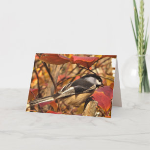 Chickadee Bird med Rosa Höst löv Birthday Kort