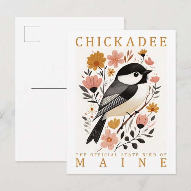 Chickadee Bird of Maine USA Travel Vykort (Fram/baksida)