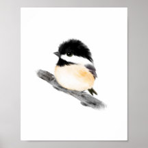 Chickadee Bird Poster Skriv ut