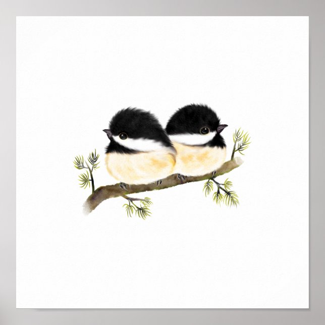 Chickadee Bird Poster Skriv ut (Framsidan)