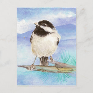 Chickadee, Bird, Wildlife, Nature, Postcard Vykort