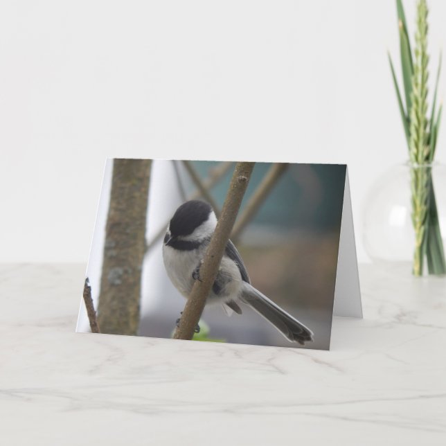 Chickadee Birthday Card Kort (Framsida)