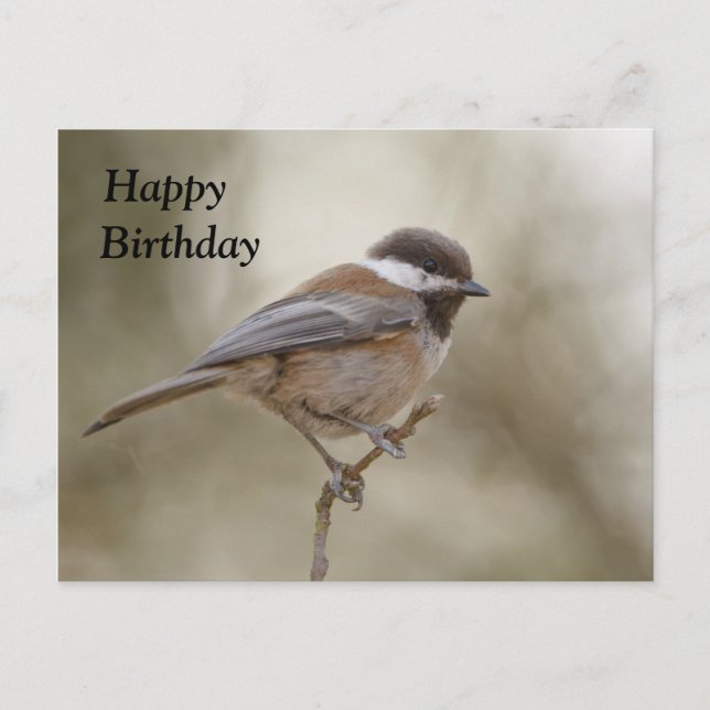 Chickadee Birthday Card Vykort (Framsida)