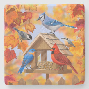 Chickadee Bluebird Cardinal Blue Jay Höst löv Stenunderlägg