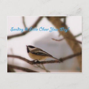 Chickadee Cheer Vykort
