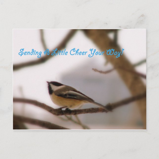 Chickadee Cheer Vykort (Framsida)