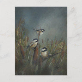 Chickadee-dammen Vykort