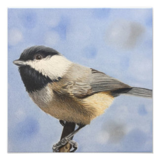 Chickadee de fototryck