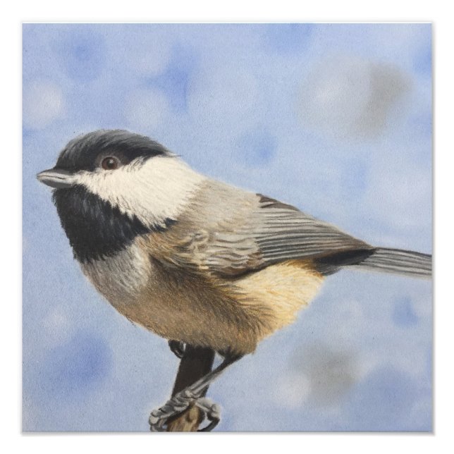Chickadee de fototryck (Framsidan)