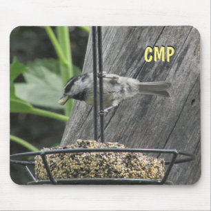 Chickadee Eating Solrossuet Musmatta