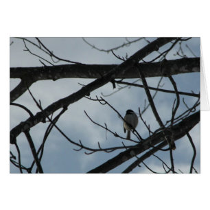 Chickadee Hälsningskort