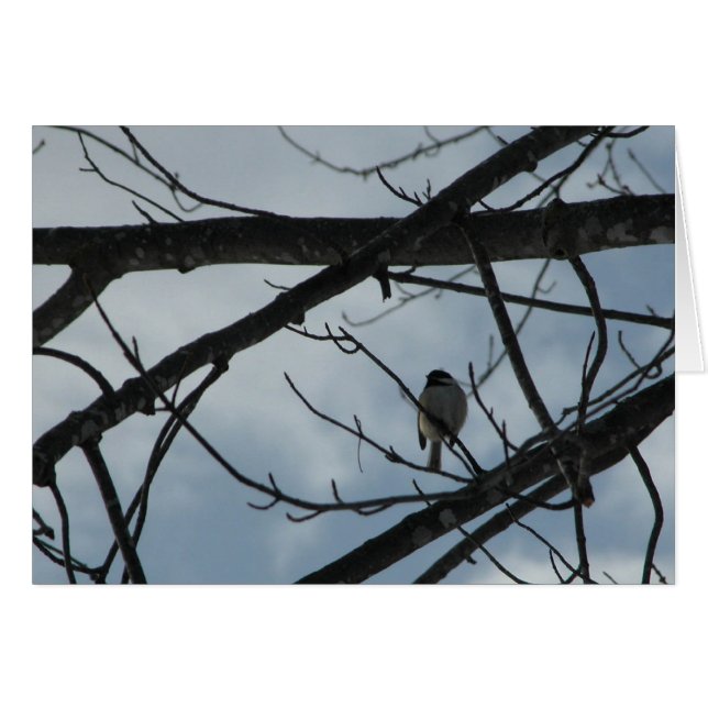 Chickadee Hälsningskort (Framsidan Horizontal)