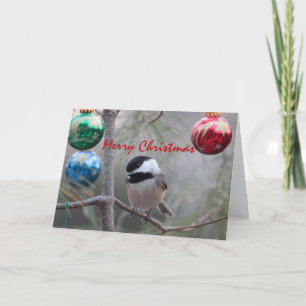 Chickadee Helgkort