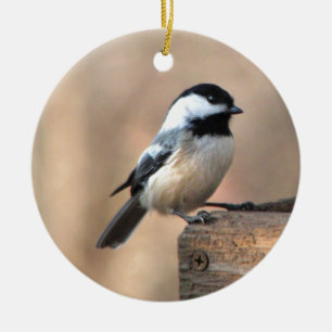 Chickadee i Golden Light Julgransprydnad Keramik