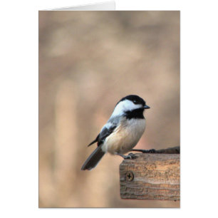 Chickadee i guld- ljust OBS kort