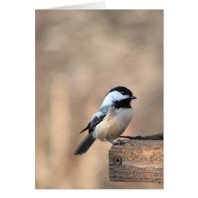 Chickadee i guld- ljust OBS kort (Framsidan)