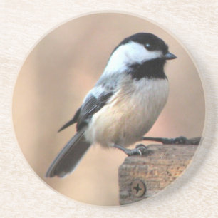 Chickadee i guld- ljust underlägg sandsten