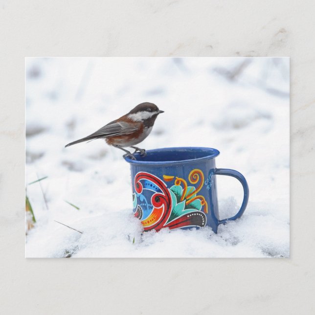 Chickadee i Snö Vykort (Framsida)