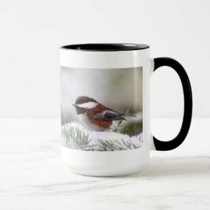 Chickadee i snön mugg
