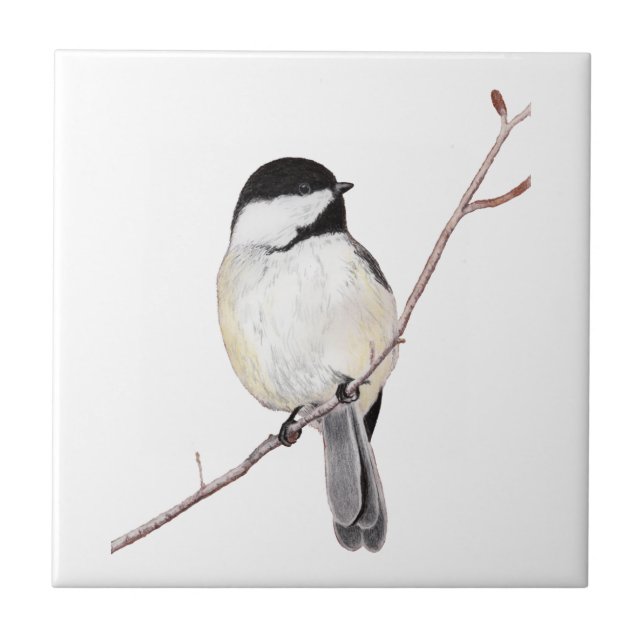 Chickadee Kakelplatta (Framsidan)