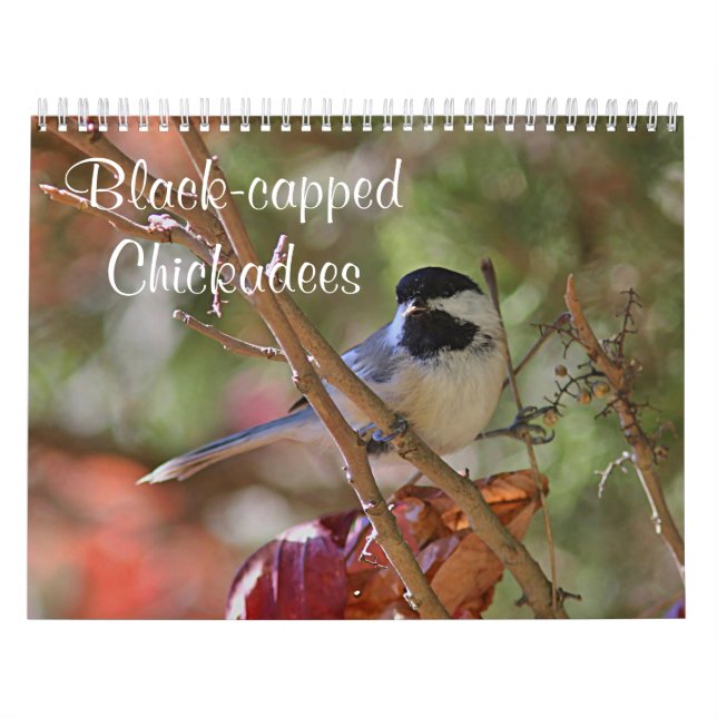 Chickadee Kalender (Omslag)