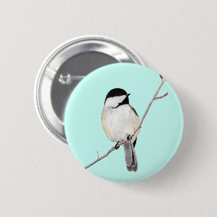 Chickadee Knapp