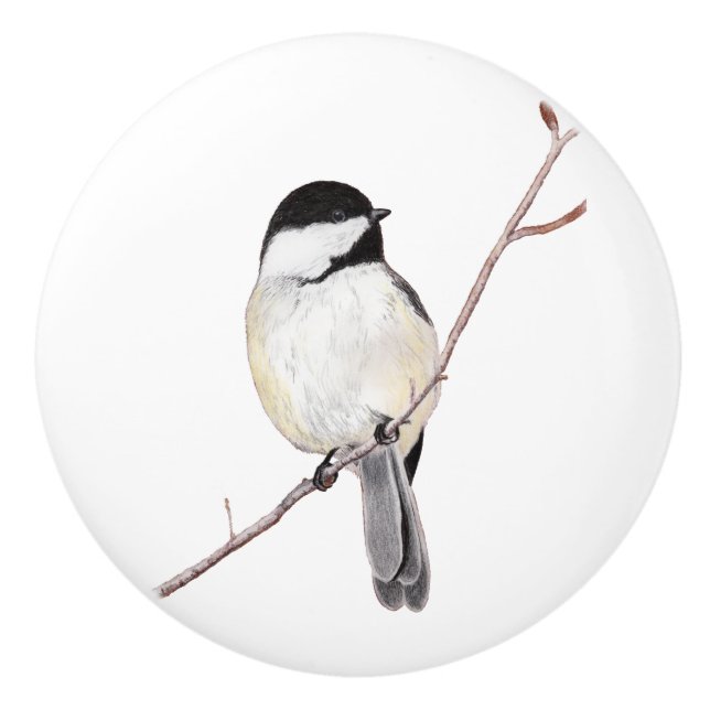 Chickadee Knopp (Framsidan)