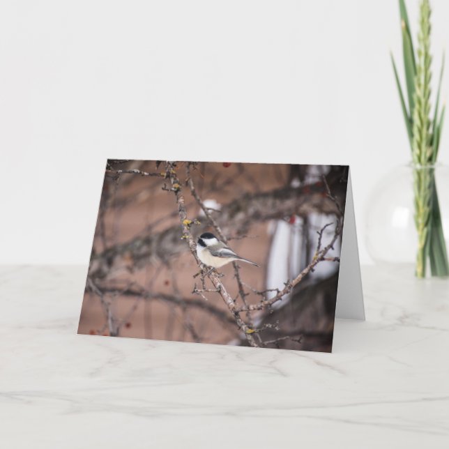 Chickadee Kort (Framsida)