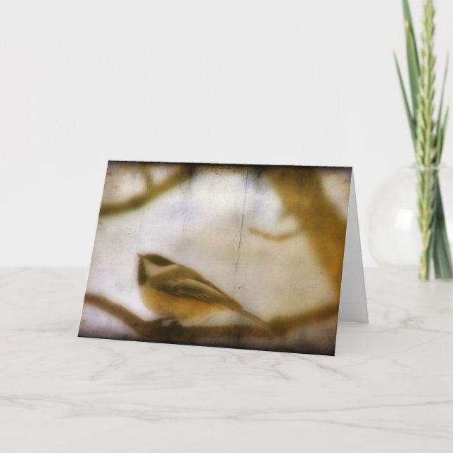 Chickadee Kort (Framsida)