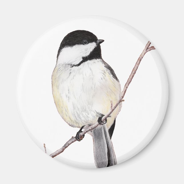 Chickadee Magnet (Framsidan)