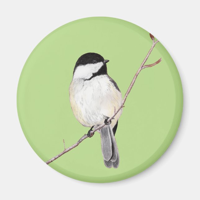 Chickadee Magnet (Framsidan)
