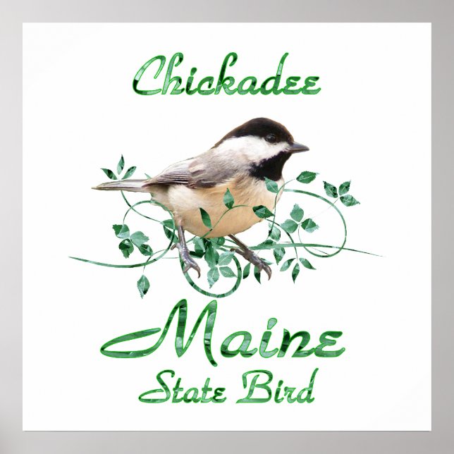 Chickadee Maine State Bird Poster (Framsidan)