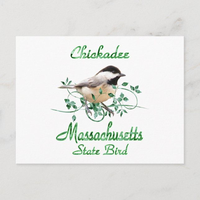 Chickadee Massachusetts State Bird Vykort (Framsida)