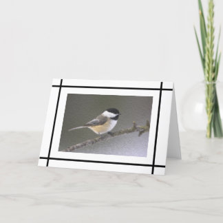 Chickadee Note Card Kort