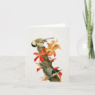Chickadee Nuthatch Fall Foliage Vintage Bird Card Kort