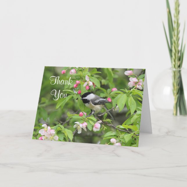 Chickadee- och vårblommar tack kort (Framsida)