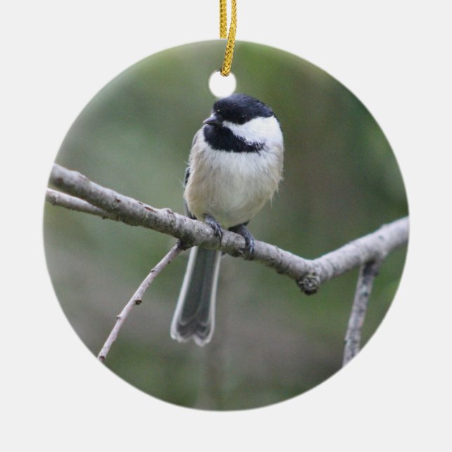 Chickadee ornament (Framsidan)