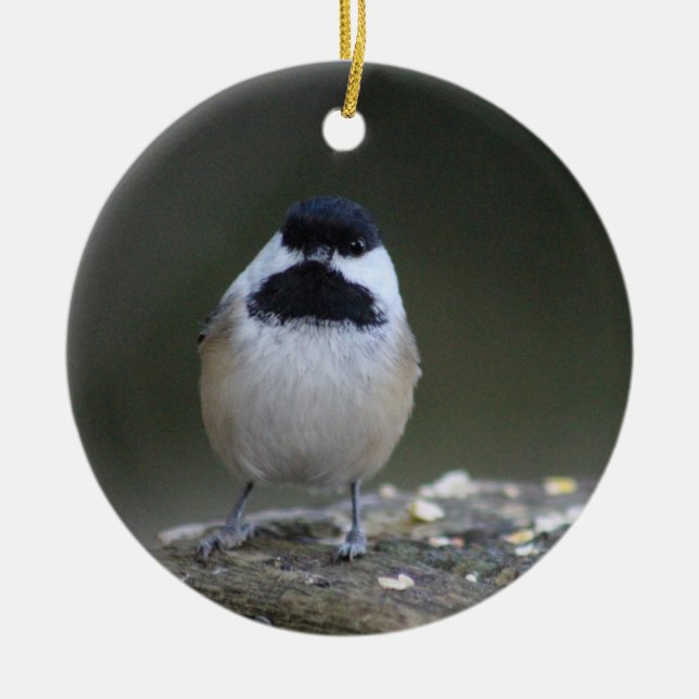 Chickadee ornament (Framsidan)