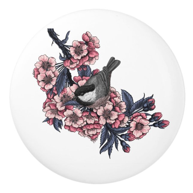 Chickadee på en blommande körsbär gren knopp (Framsidan)