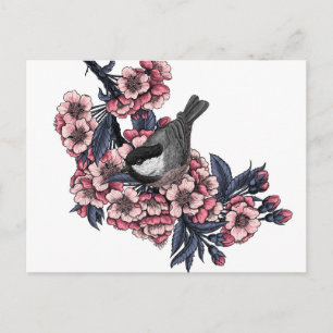 Chickadee på en blommande körsbär gren vykort