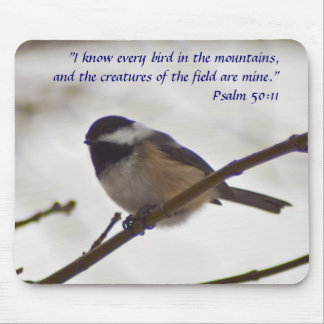 Chickadee på en fatta musmatta