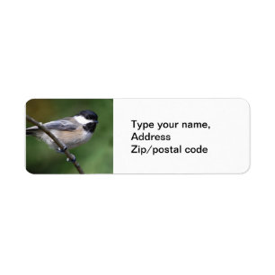 Chickadee på en gren returadress etikett