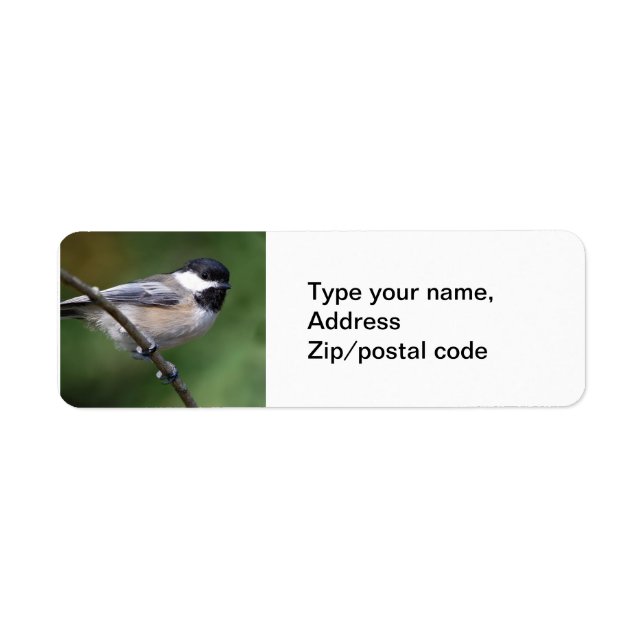 Chickadee på Gren Returadress Etikett (Framsidan)