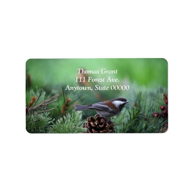 Chickadee på vintern adressetikett (Framsidan)