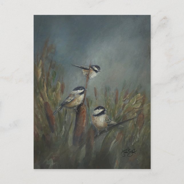 Chickadee Pond Vykort (Framsida)