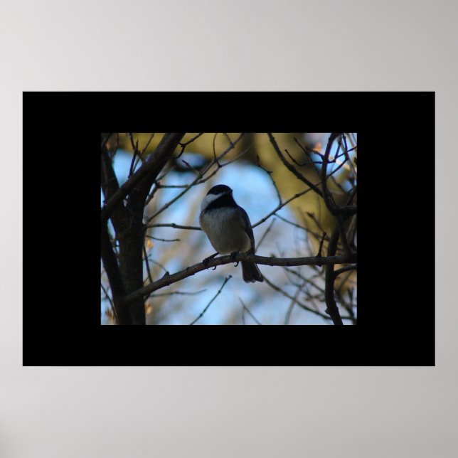 Chickadee Poster (Framsidan)