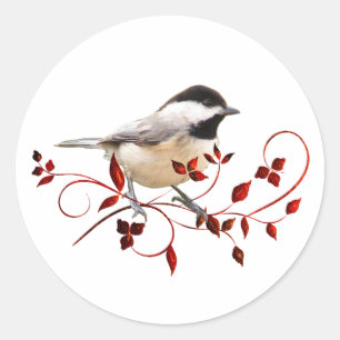Chickadee Runt Klistermärke