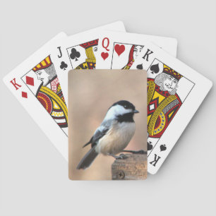 Chickadee som leker kort spel kort