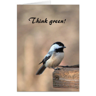 Chickadee Think Green Hälsningskort