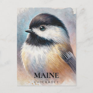 Chickadee Watercolor Art Maine Bird Vykort